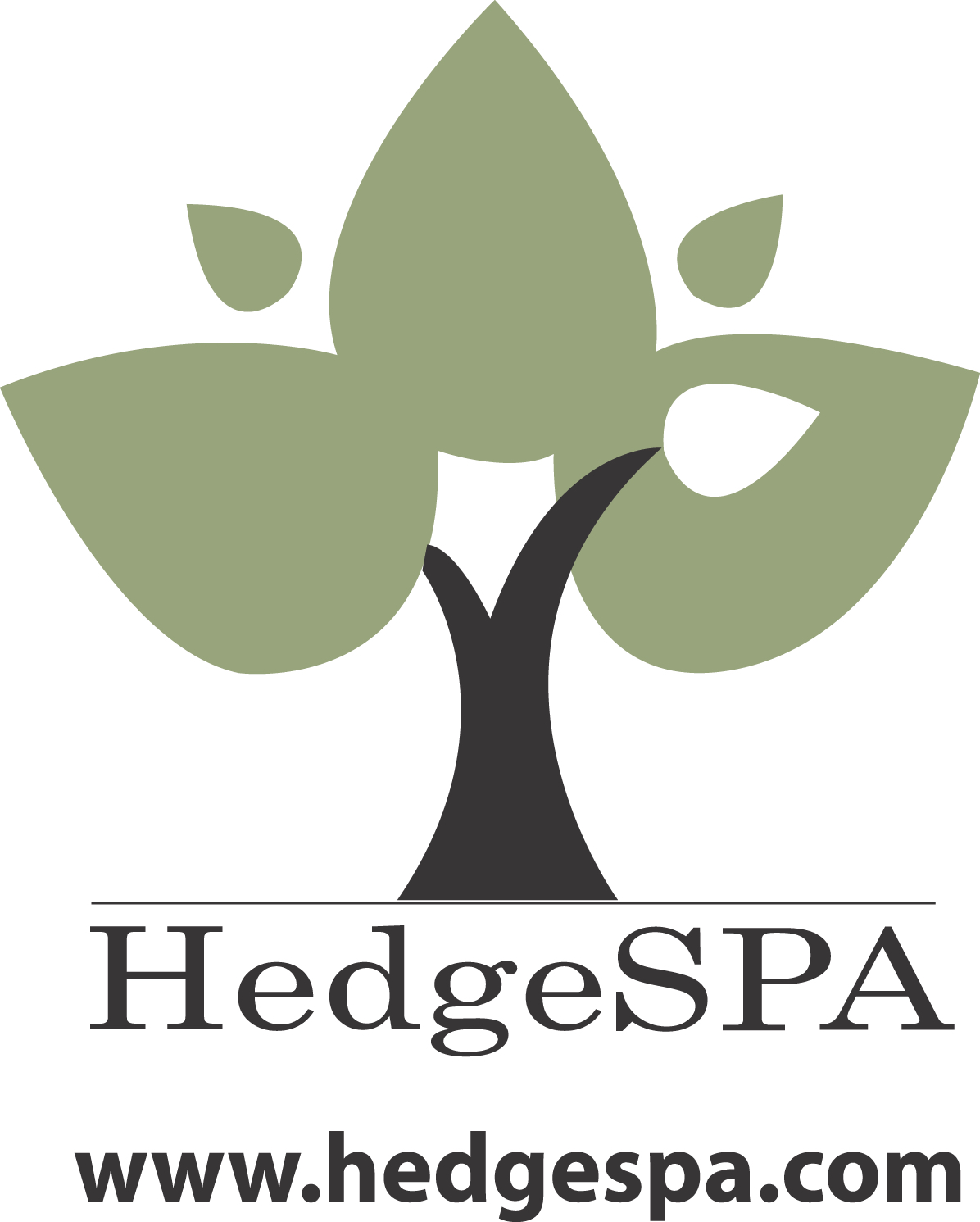 HedgeSPA